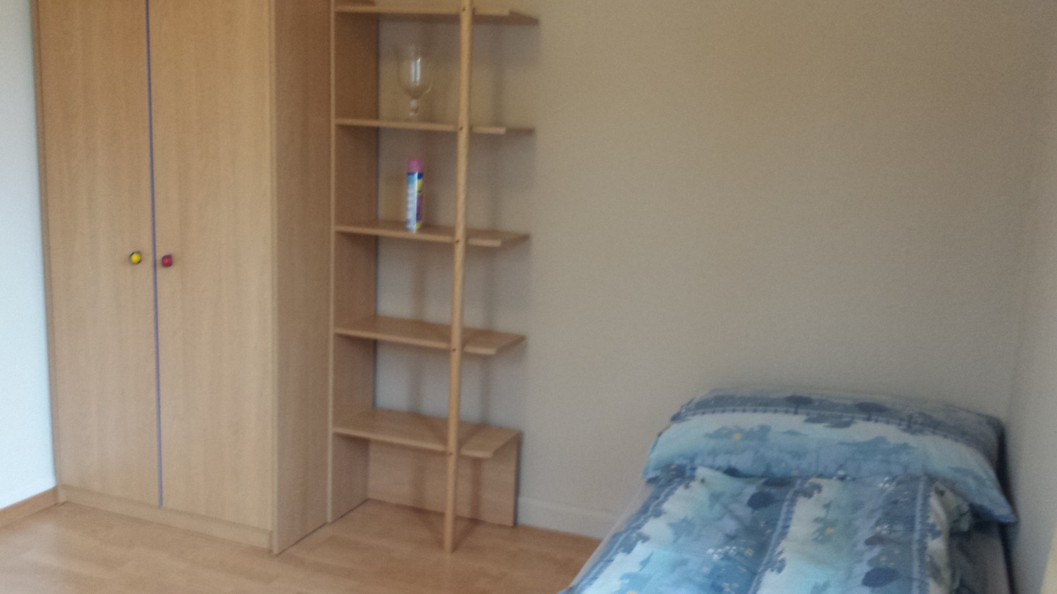 Room in a shared flat