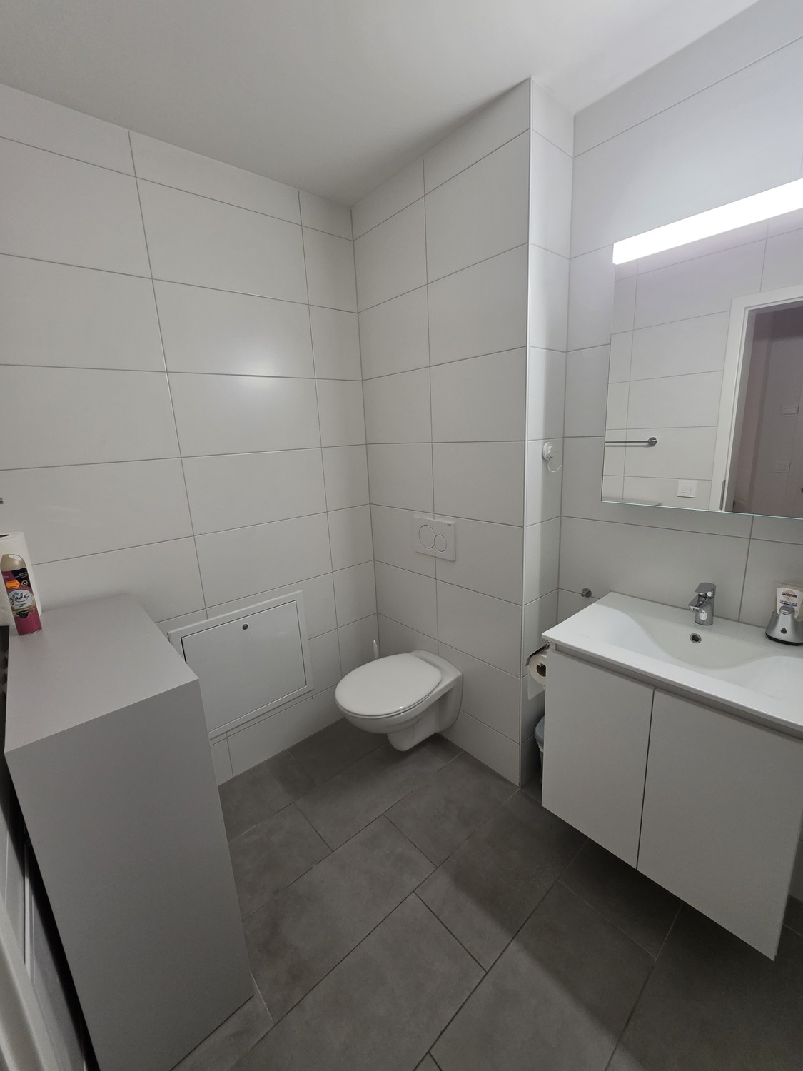 2 ½ rooms apartment