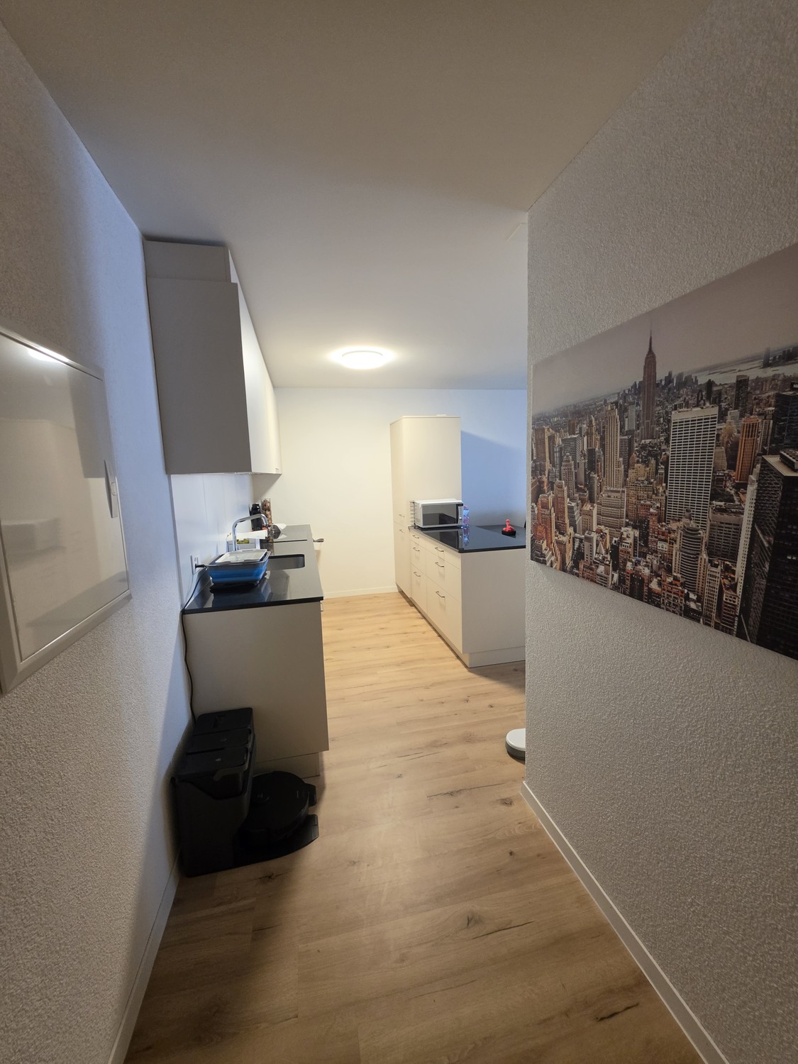 2 ½ rooms apartment