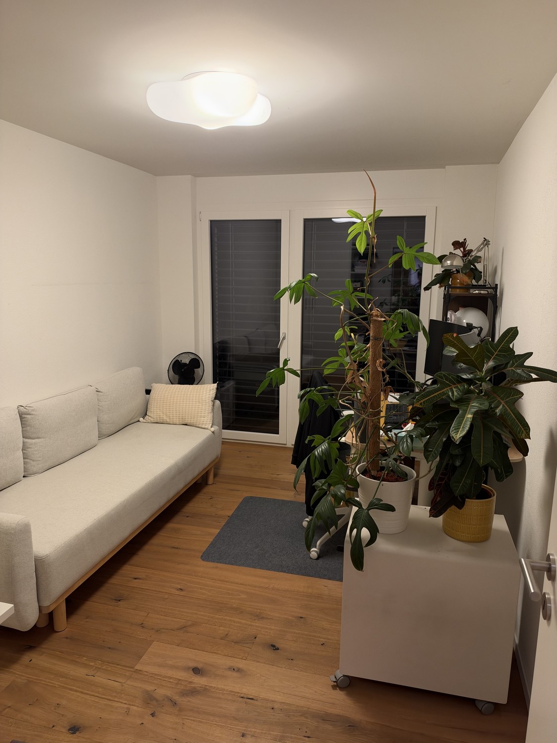 Appartement de 2 ½ pièces