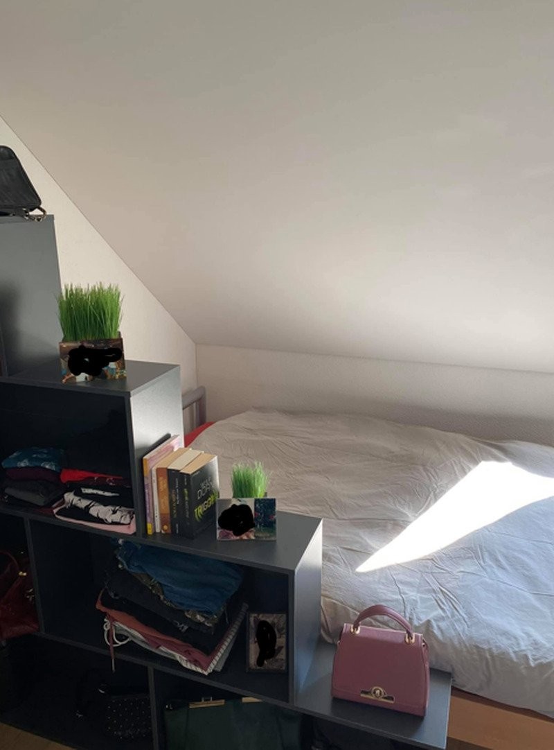 3 ½ rooms furnished flat