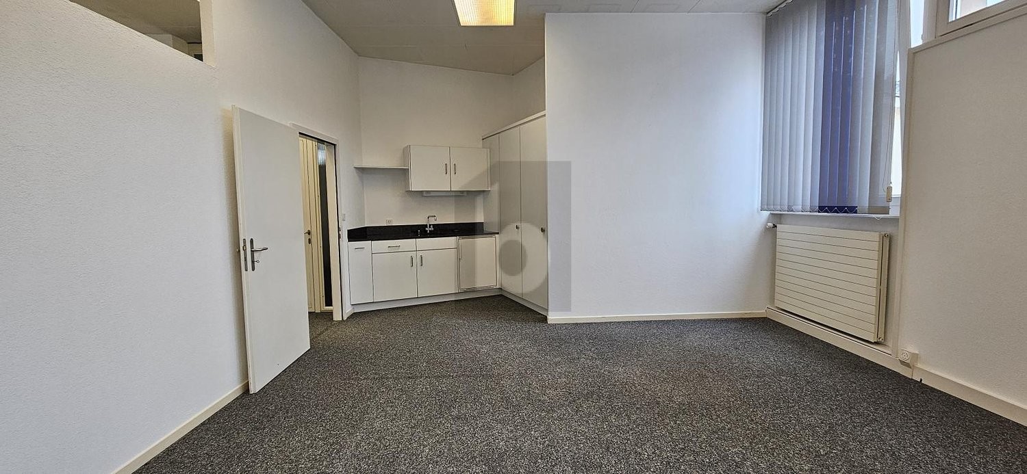 485m² living / commercial building, photo 4 of 4