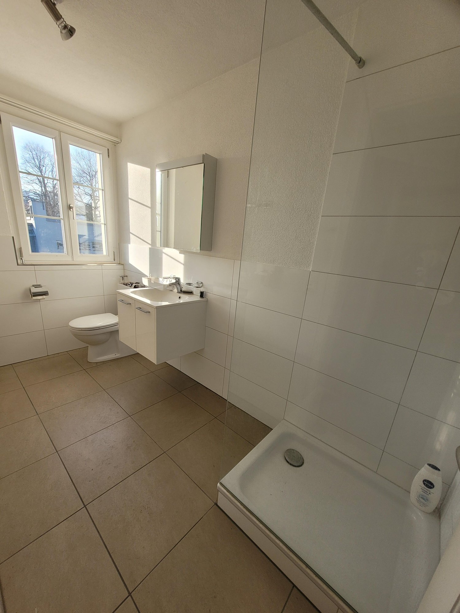 2 ½ rooms apartment, photo 5 of 5