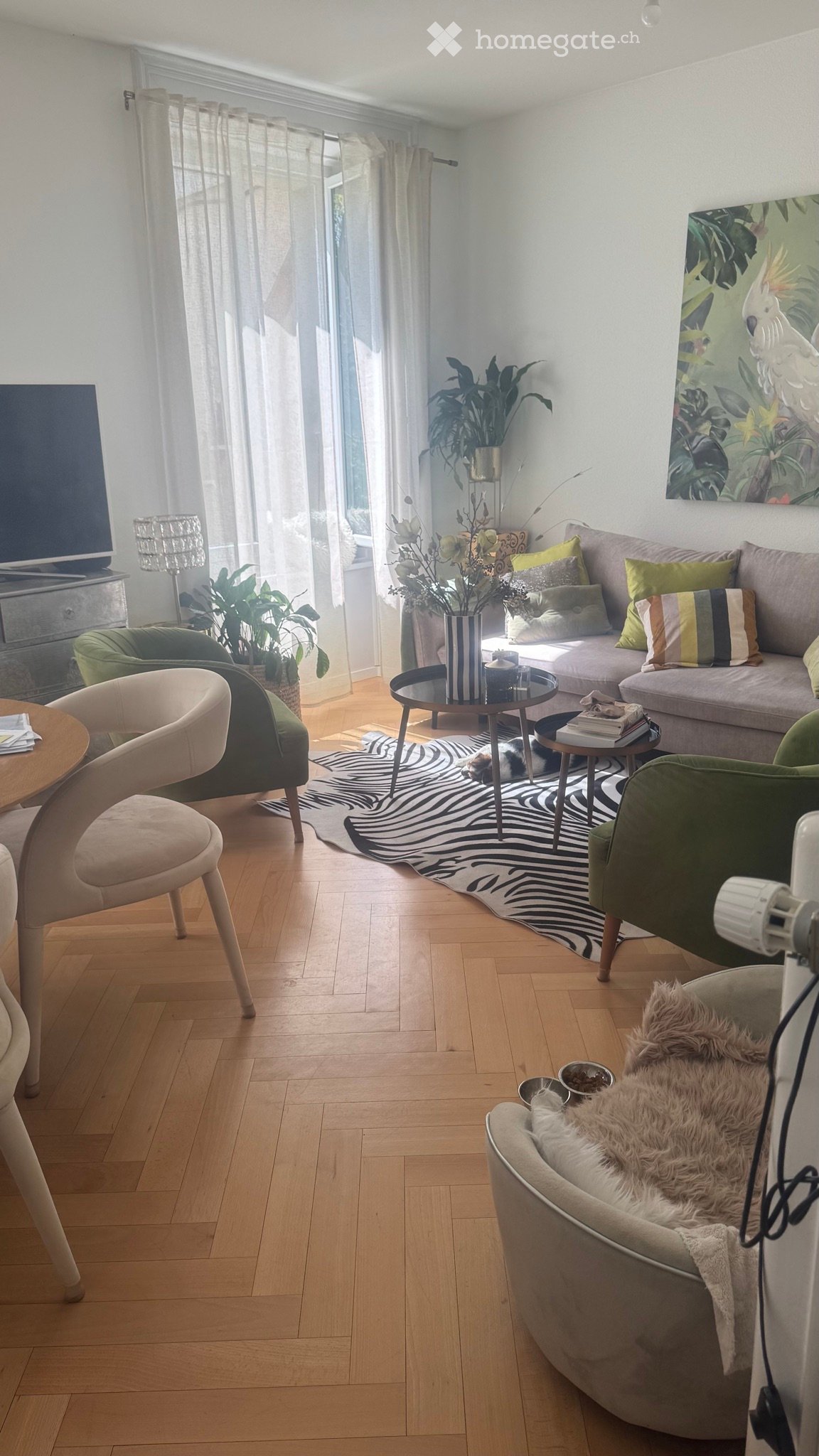 3 rooms apartment, photo 3 sur 5