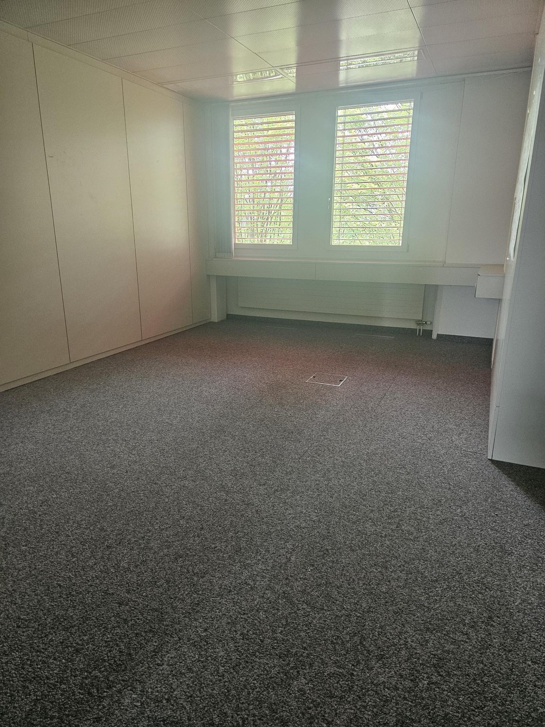 Office, photo 6 of 7