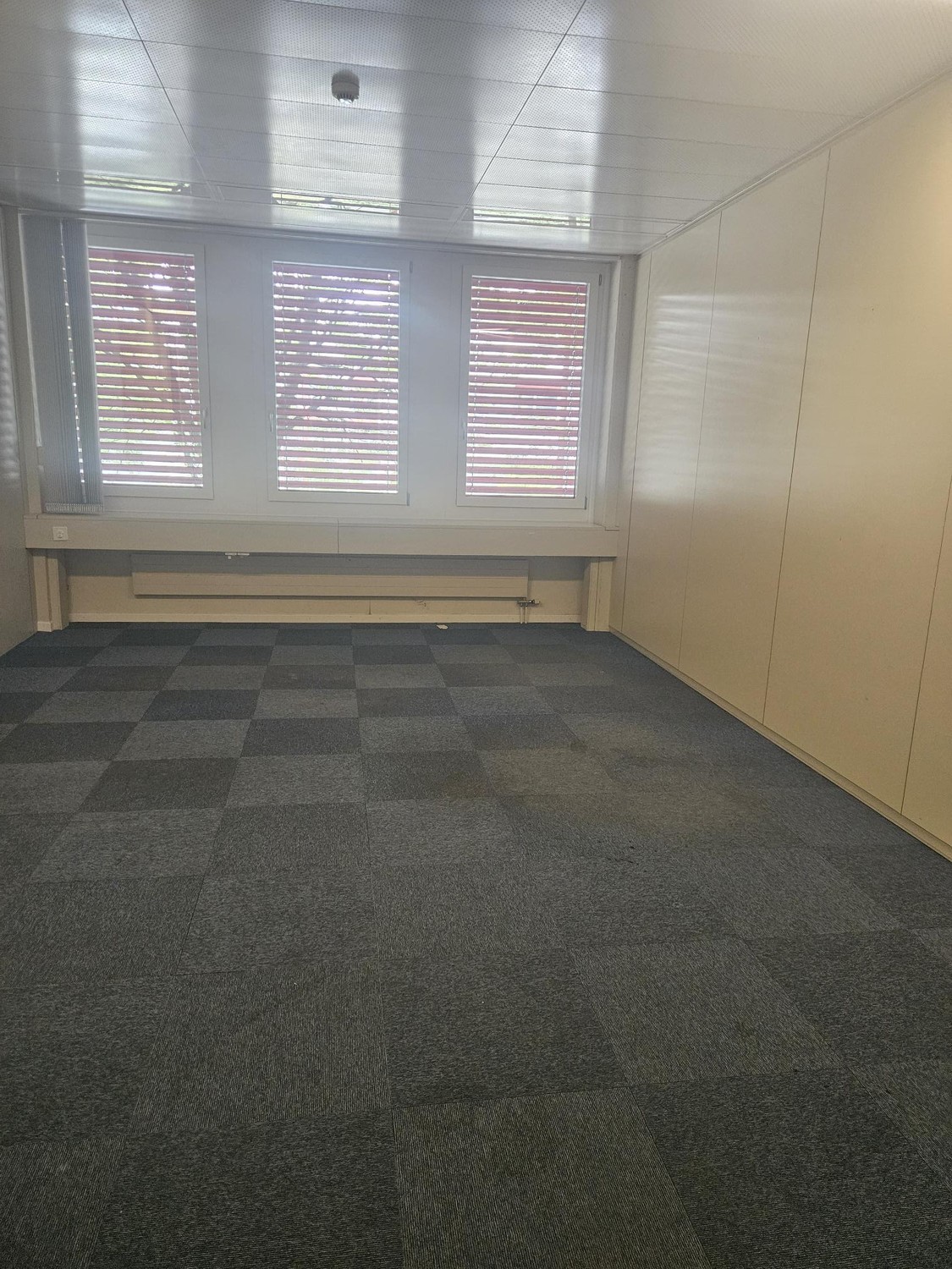 Office, photo 5 of 7