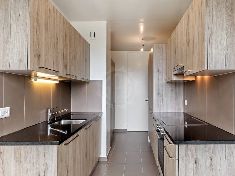6 ½ rooms apartment (5)