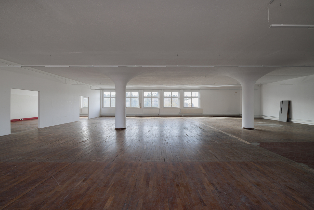 584m² commercial, photo 7 of 10
