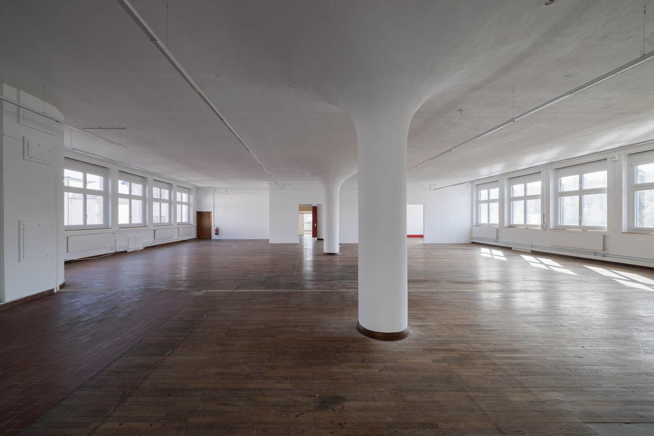 584m² commercial, photo 5 of 10