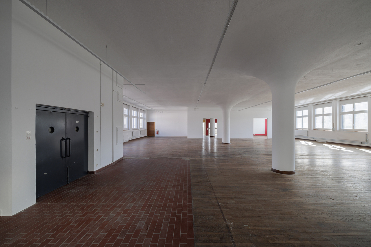584m² commercial, photo 10 of 10