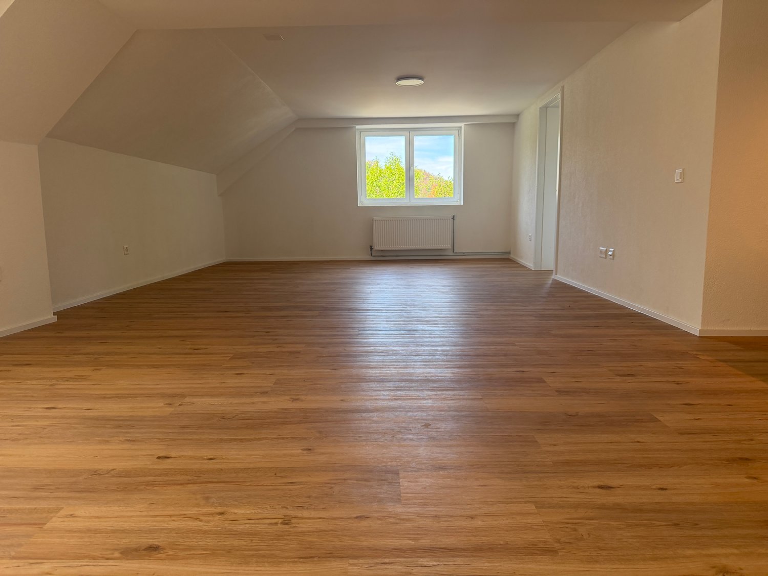 3 ½ room apartment