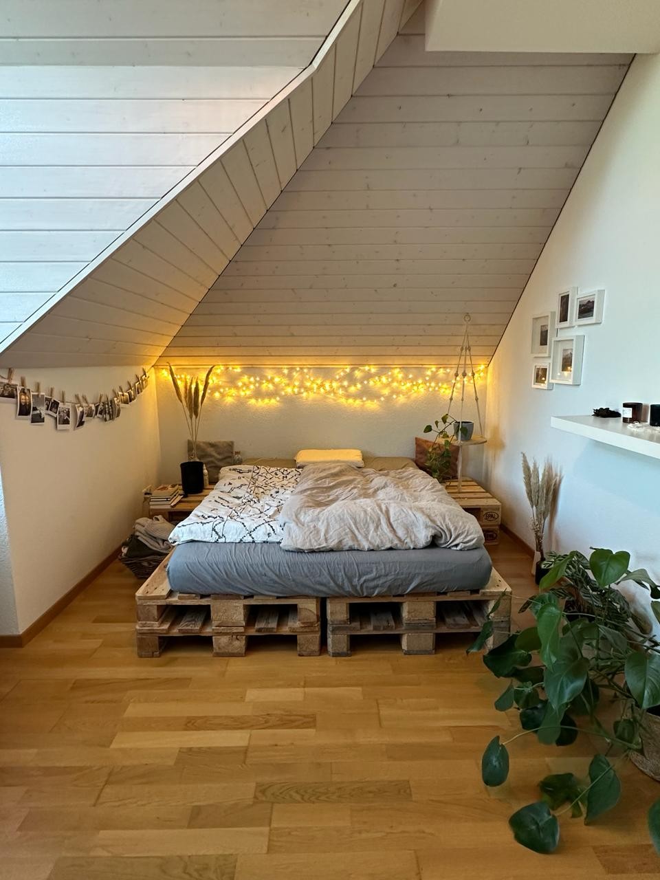 Chambre en colocation