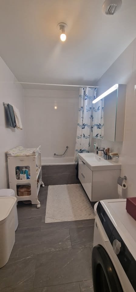 4 ½ Zimmer-Wohnung