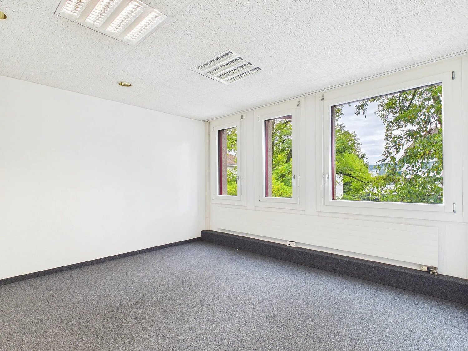 34m² commercial