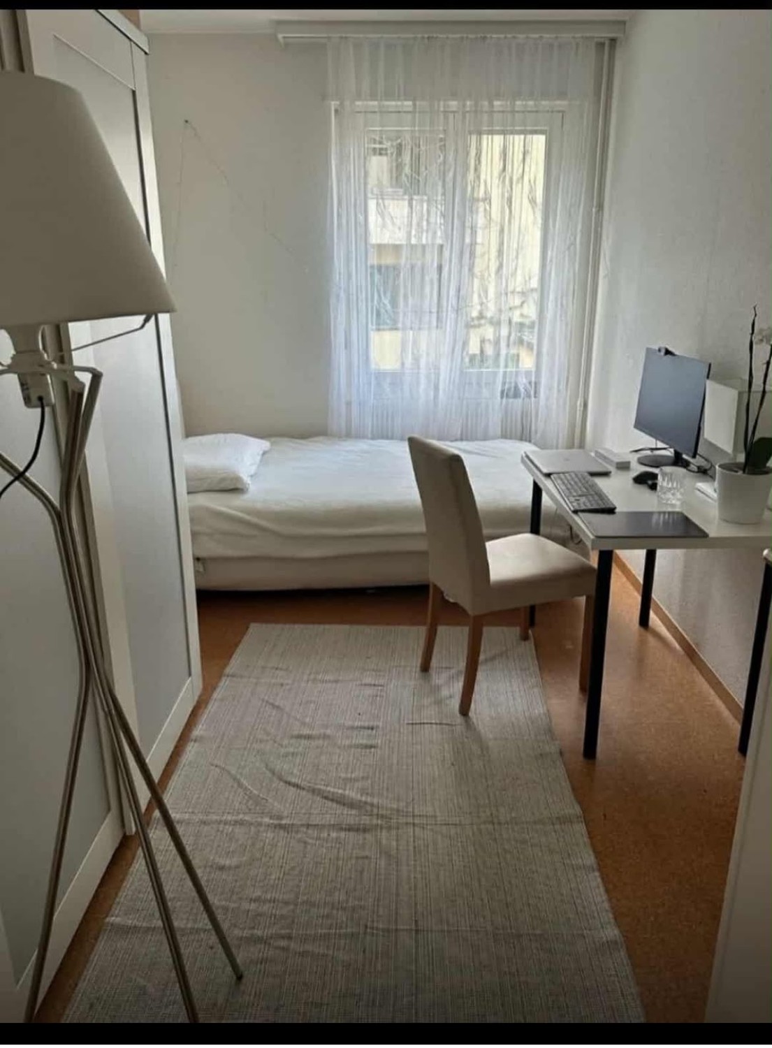 Room in a shared flat