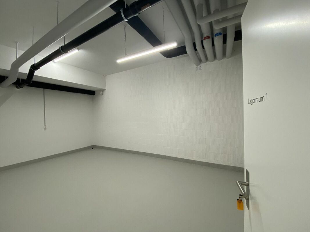 Cellar compartment, photo 3 of 3