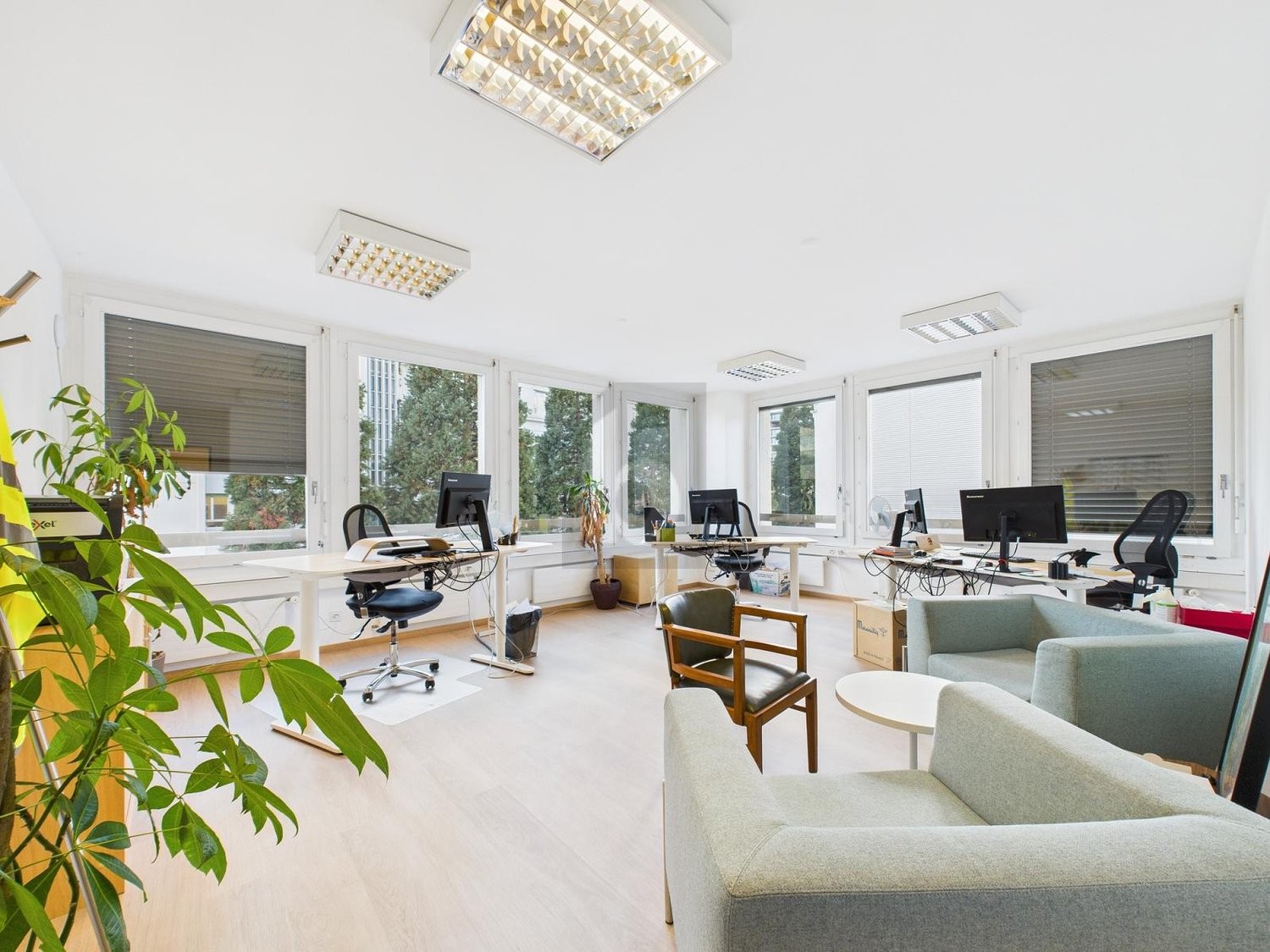300m² office, photo 2 of 4