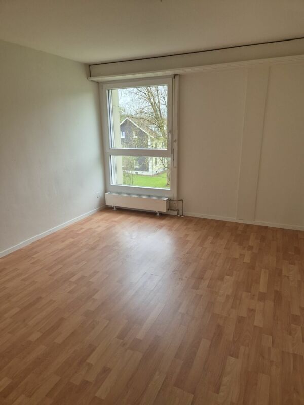 4 ½ pièces appartement
