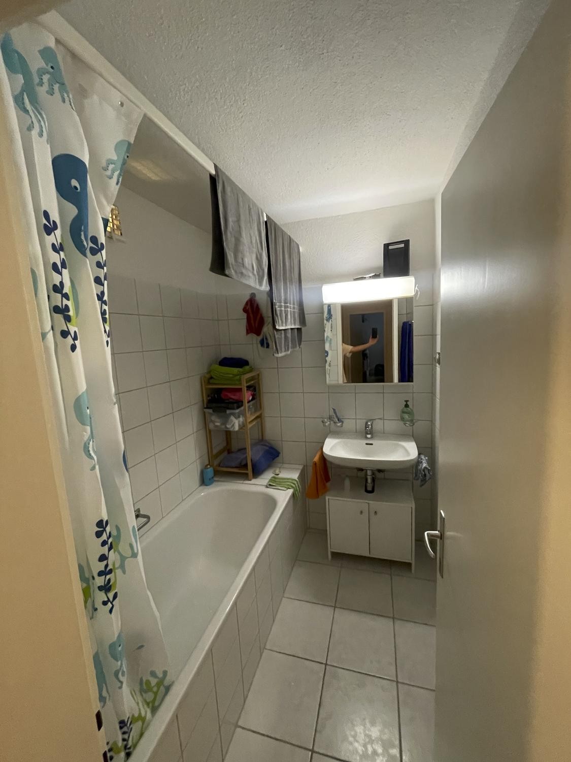 4 ½ rooms apartment, photo 9 of 10