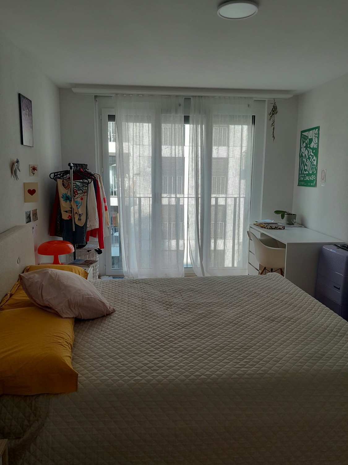 Room in a shared flat