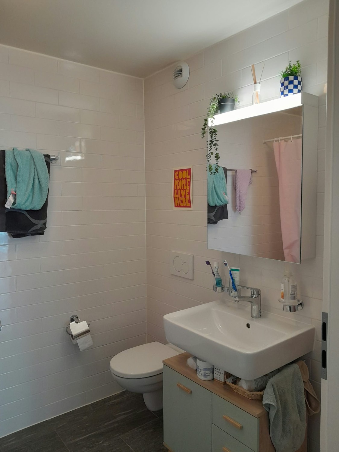Room in a shared flat