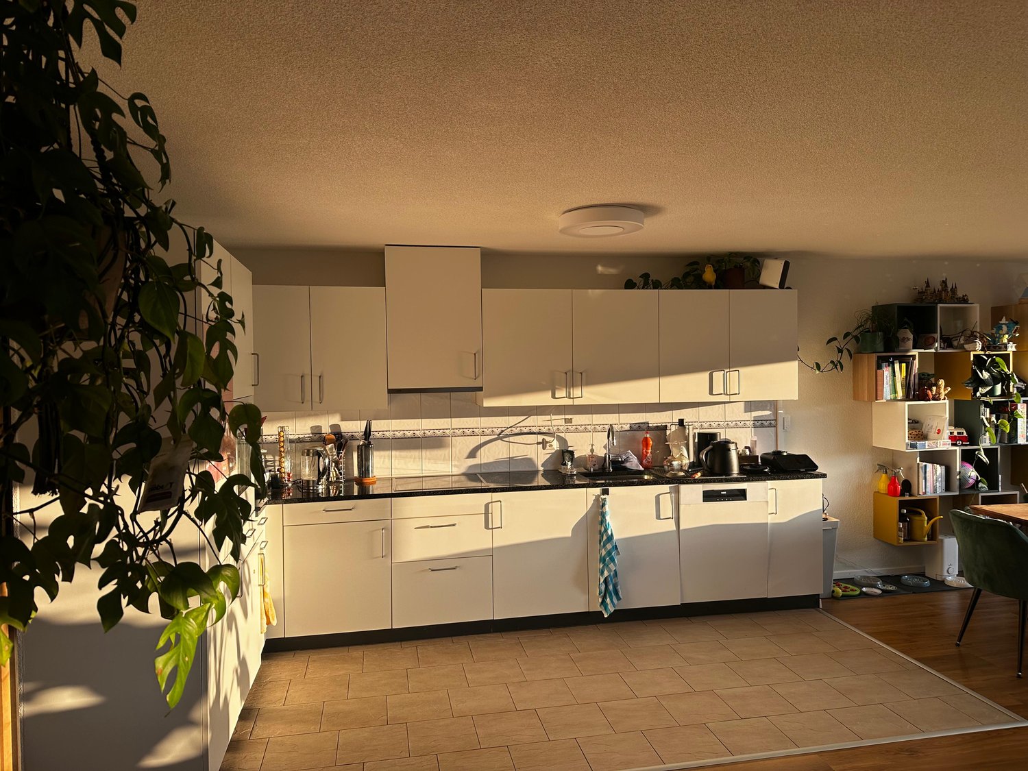 Room in a shared flat, photo 4 of 9