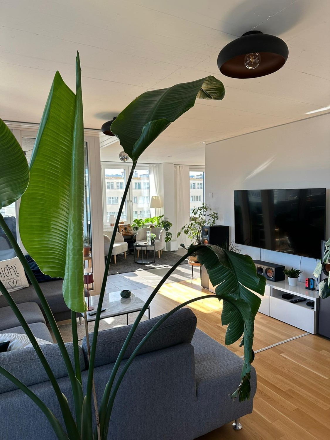 Room in a shared flat