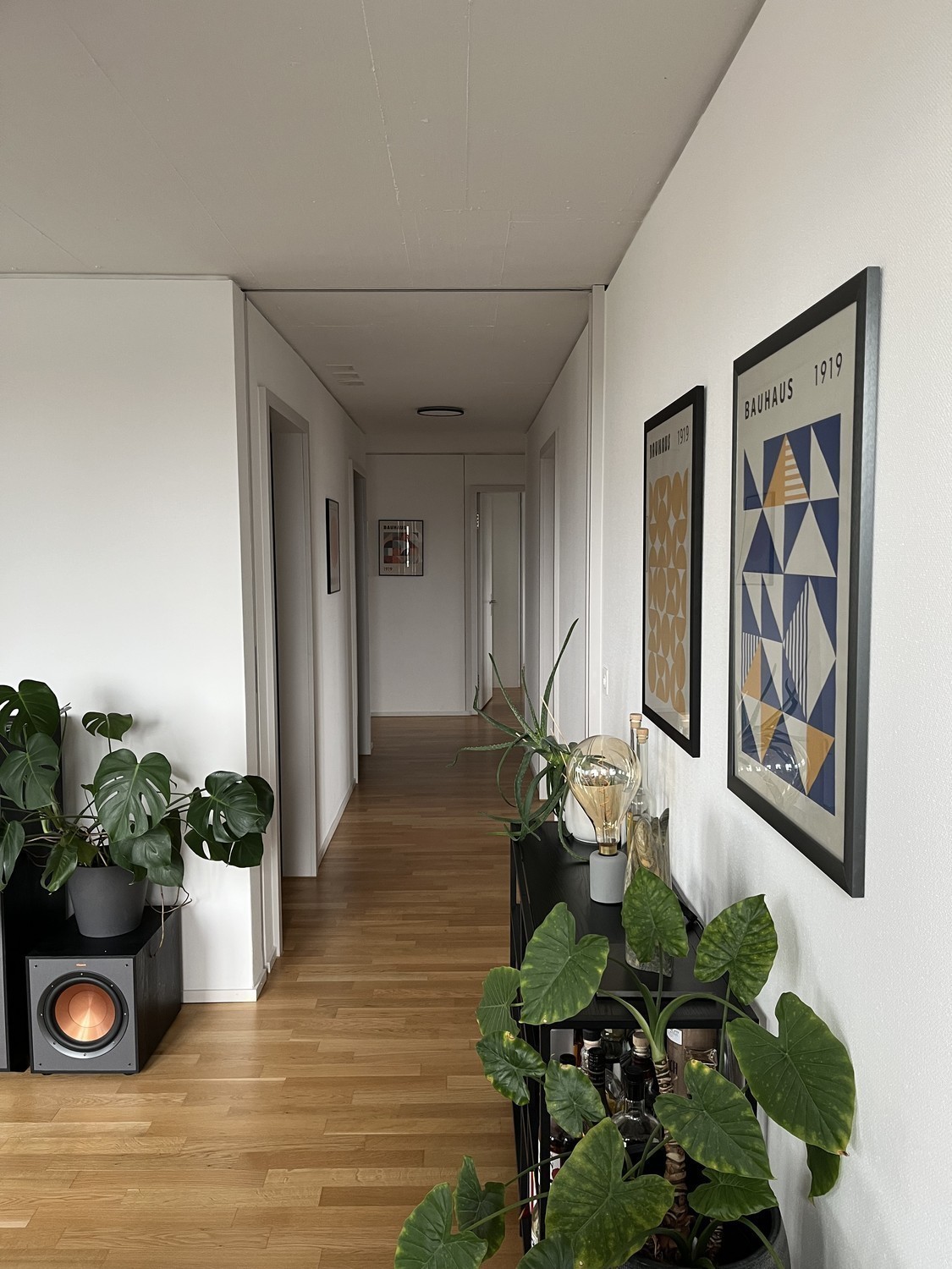 Room in a shared flat