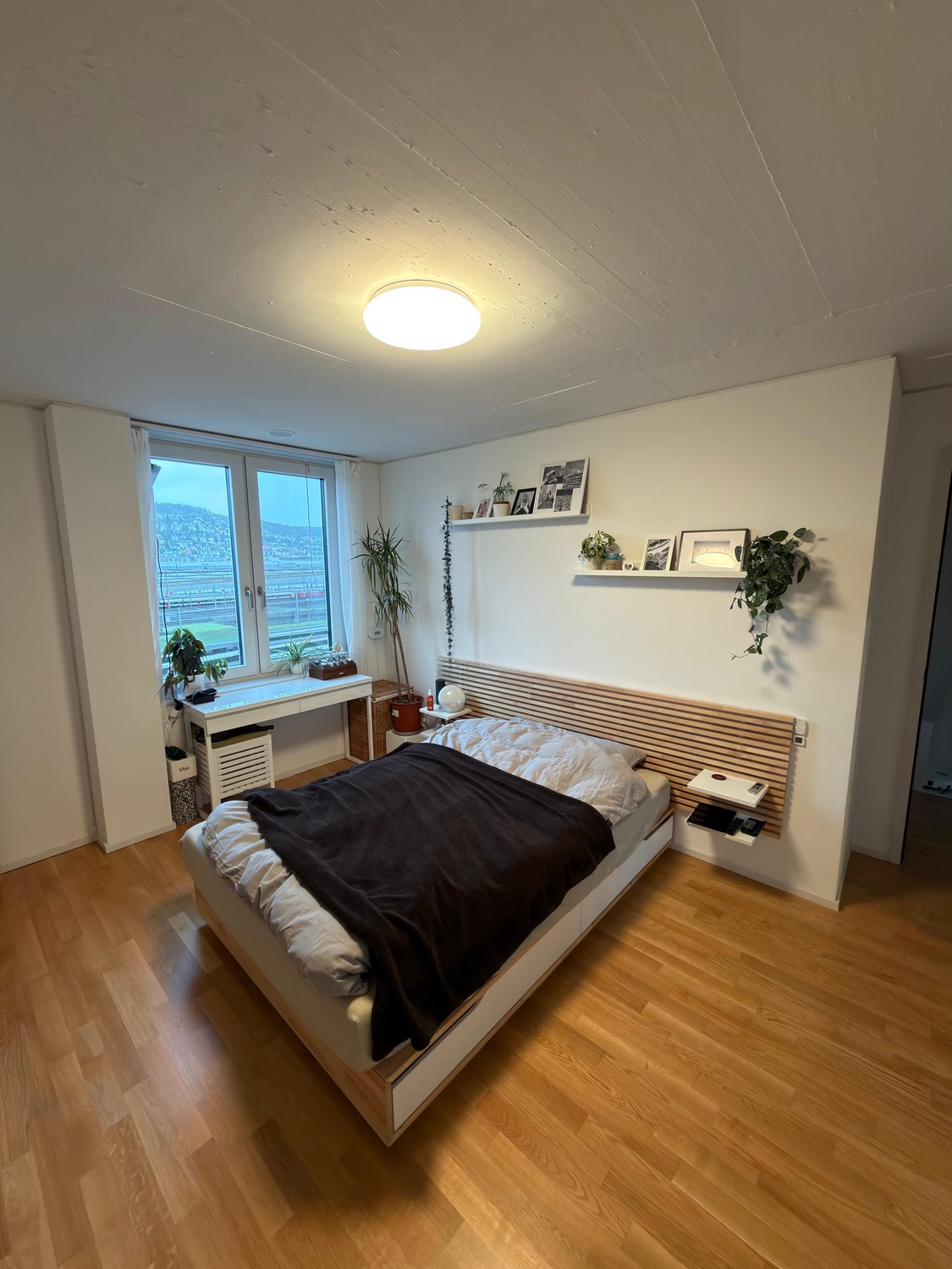 Room in a shared flat