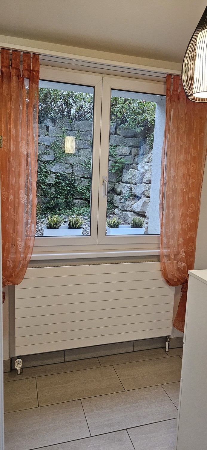 1 ½ pièces appartement
