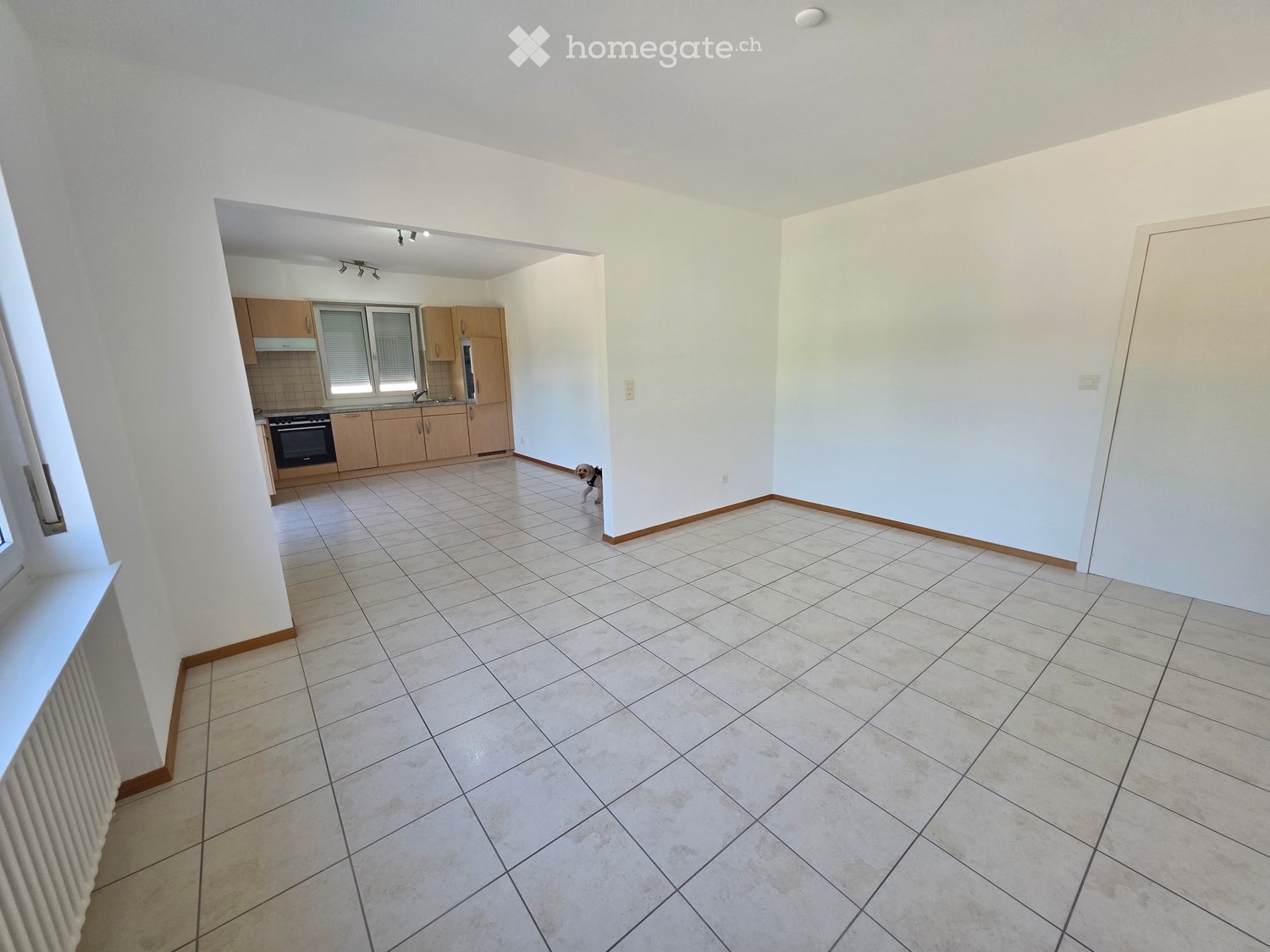 2 ½ Zimmer-Wohnung