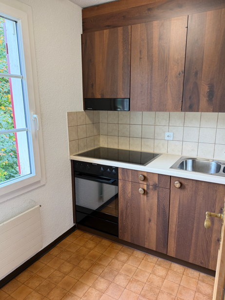 Appartement de 1 ½ pièce