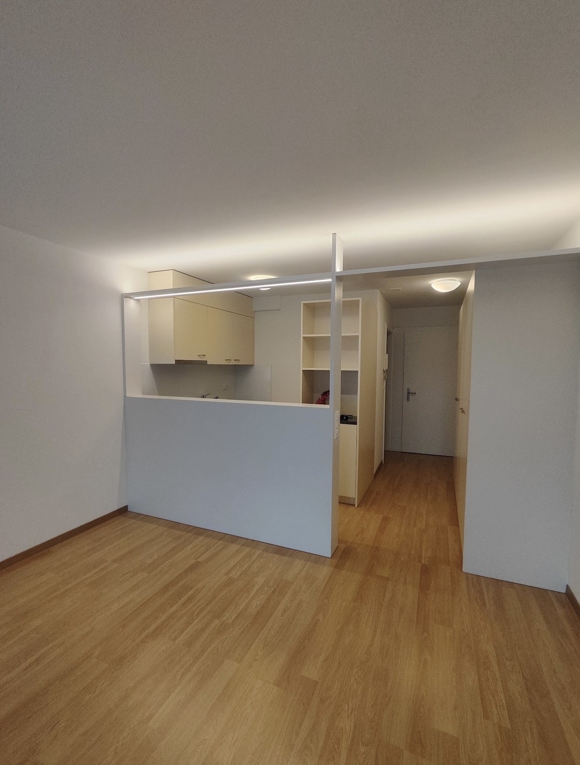 1 room apartment