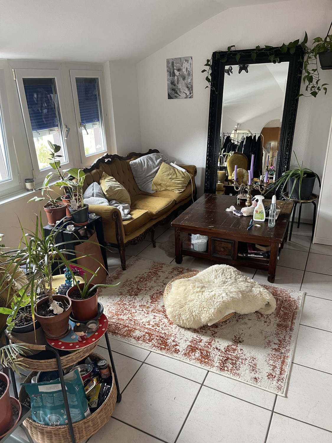 Chambre en colocation