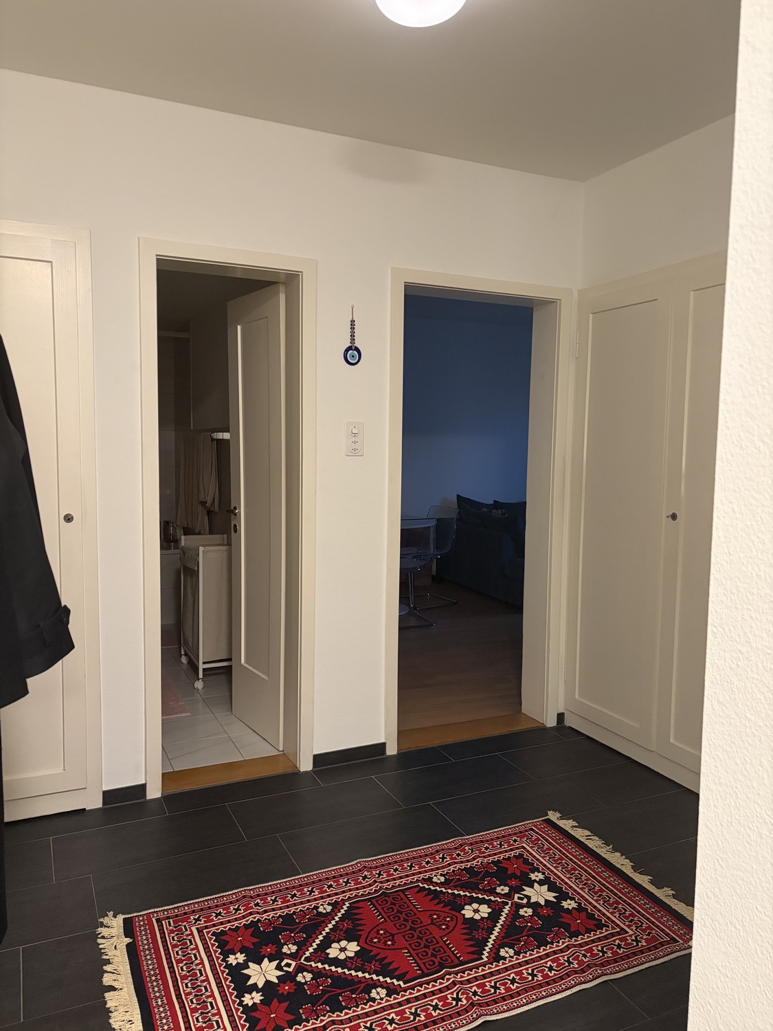 appartement 1 pièce