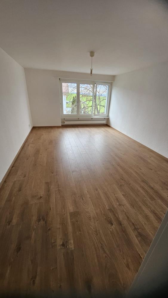5 ½ rooms apartment