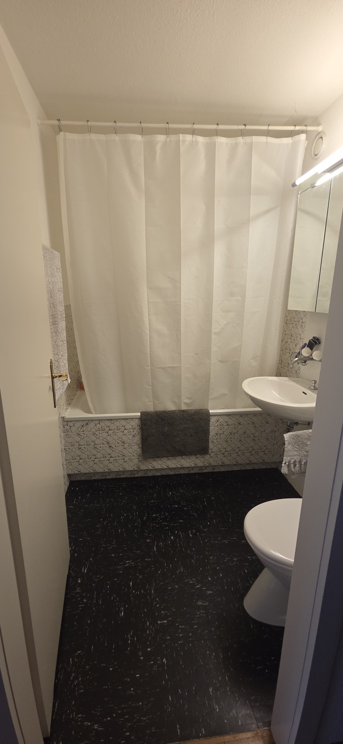 2 ½ rooms apartment