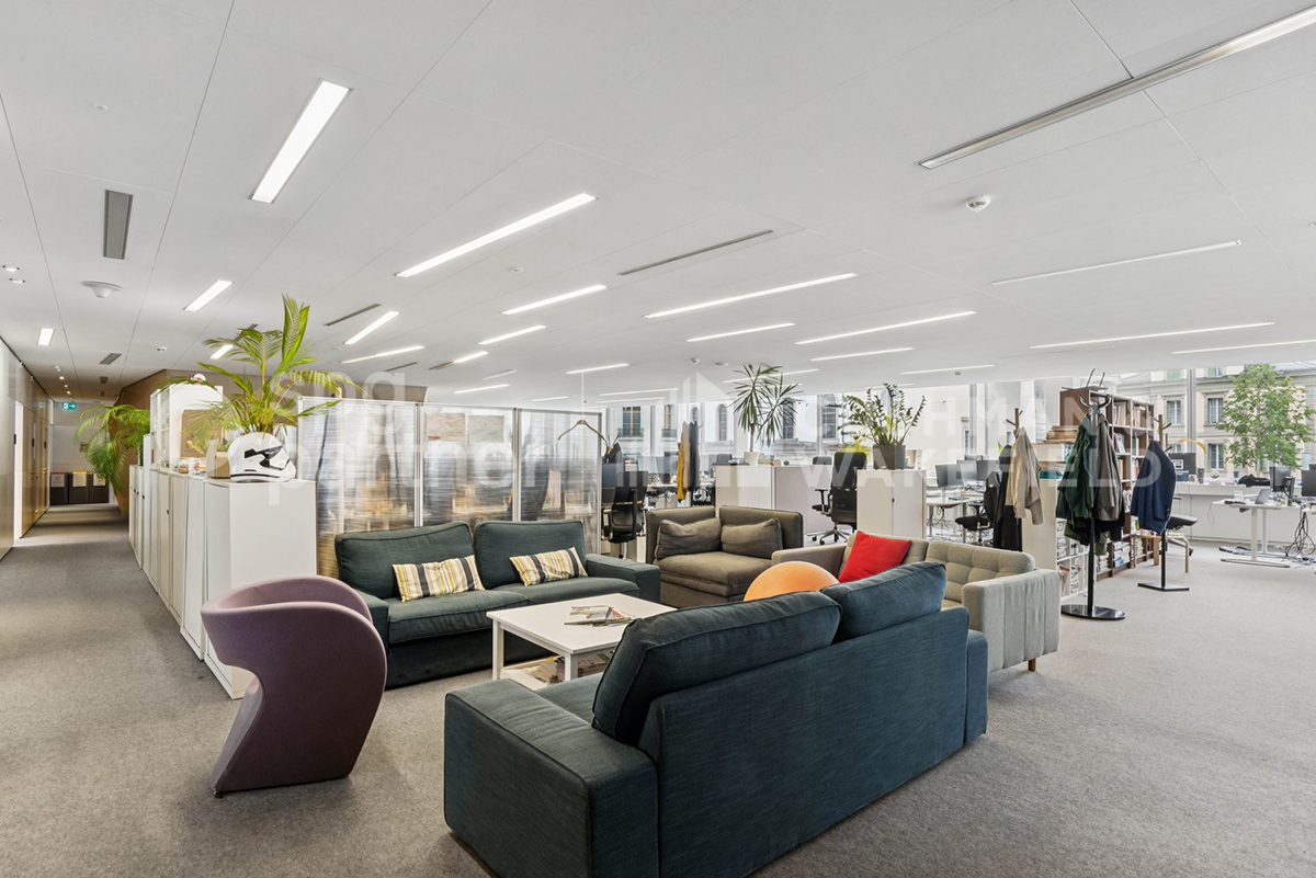 650m² office