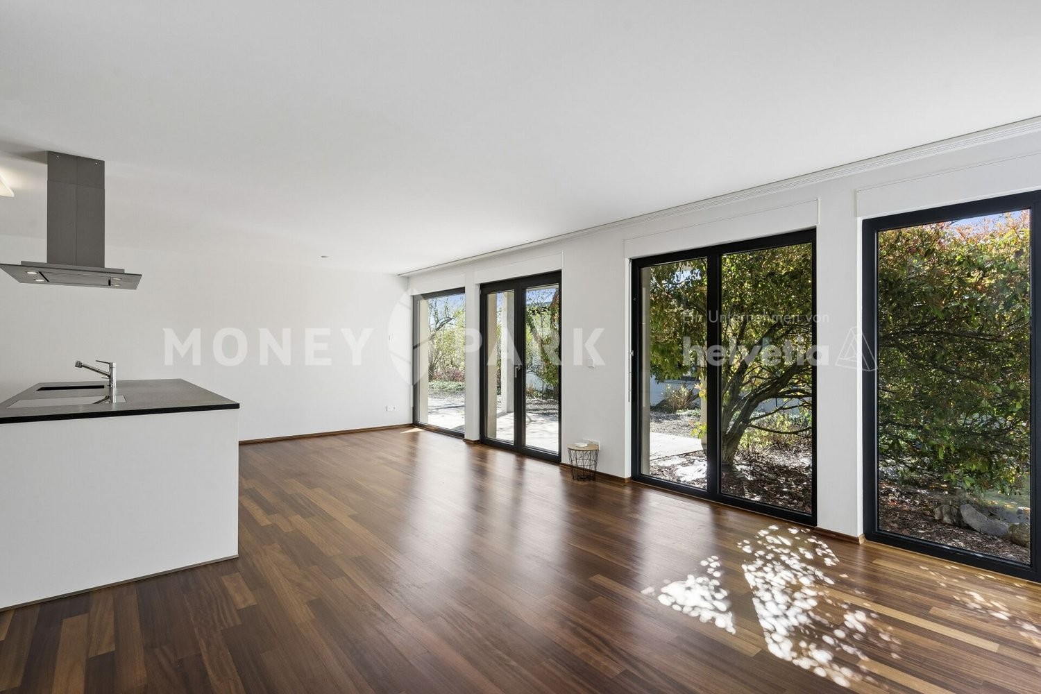 9 ½ pièces maison multifamiliale