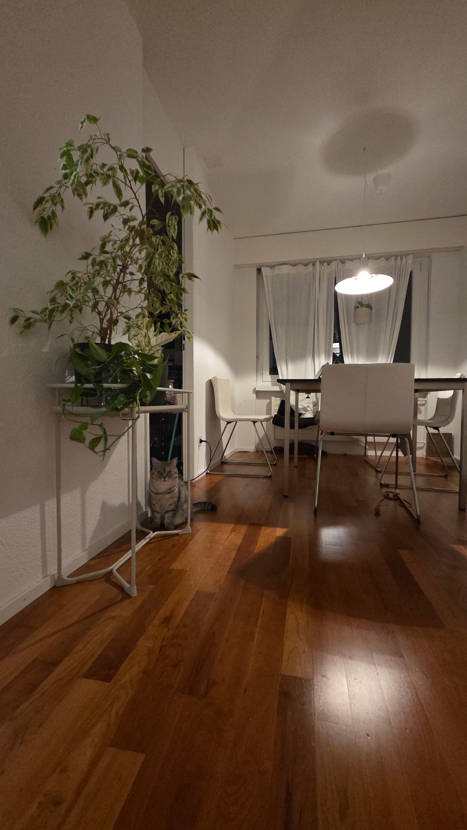 Room in a shared flat, photo 3 of 6