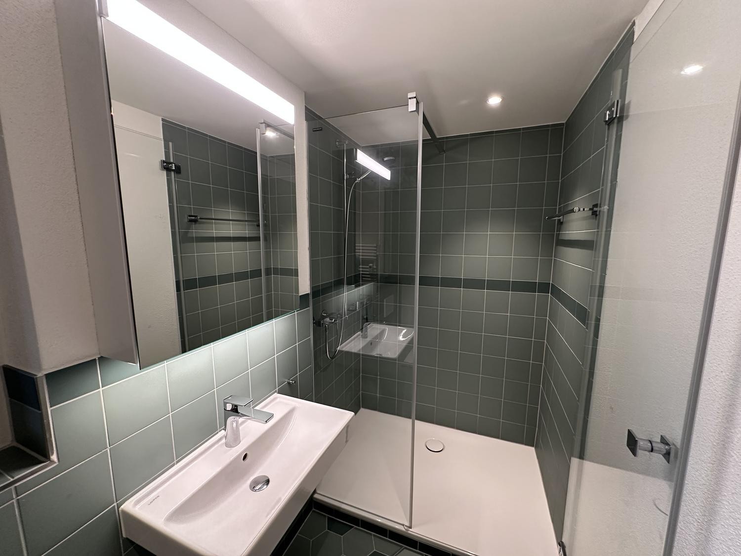 Appartement 1 ½ pièces