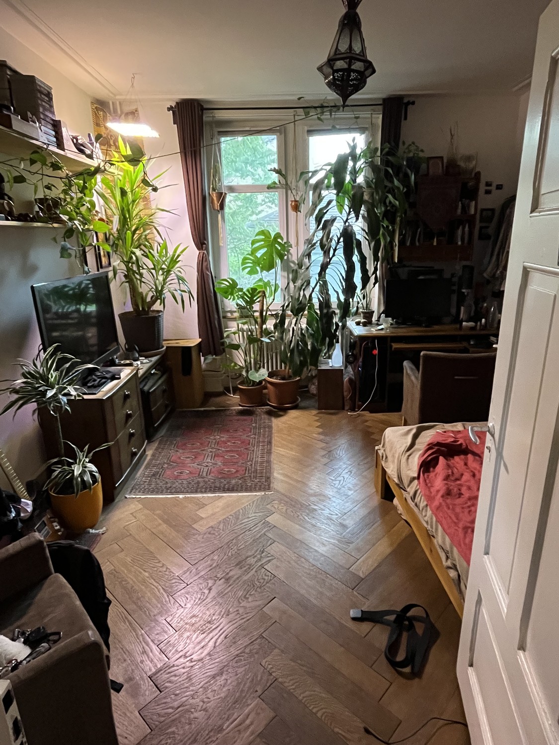 Room in a shared flat