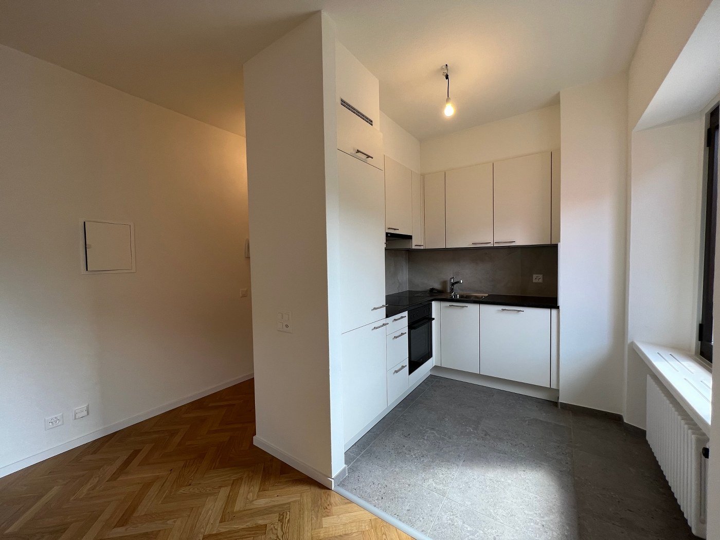 Appartement 3 ½ pièces