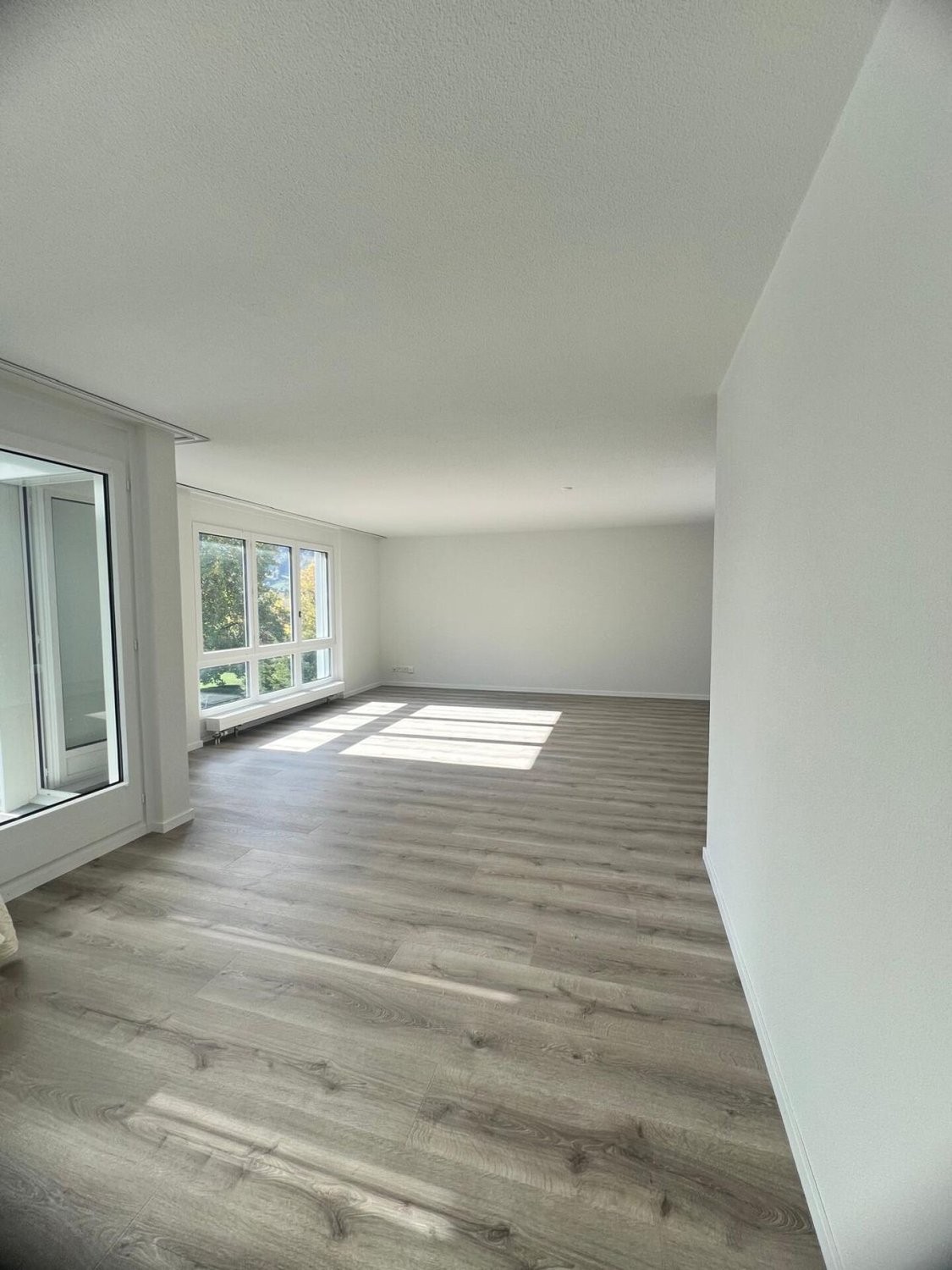 5 ½ room apartment