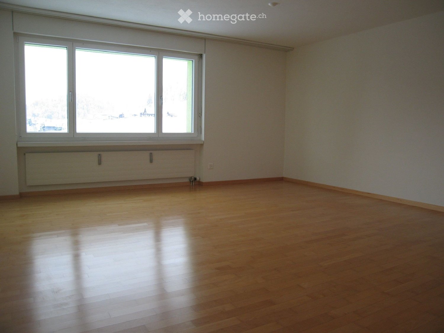 4 ½ rooms apartment