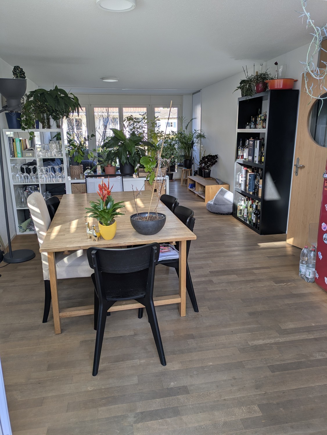 Chambre en colocation