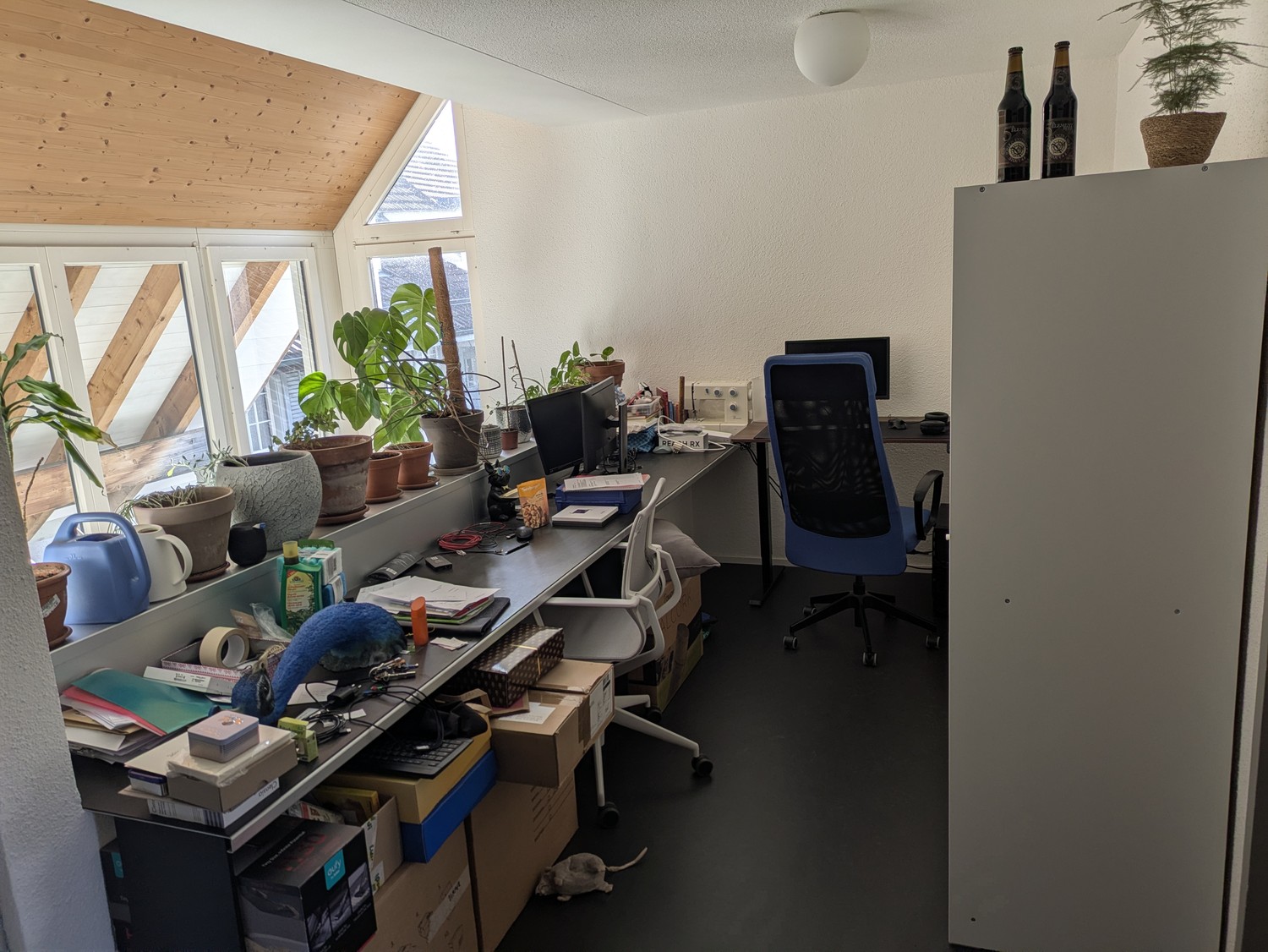 Chambre en colocation
