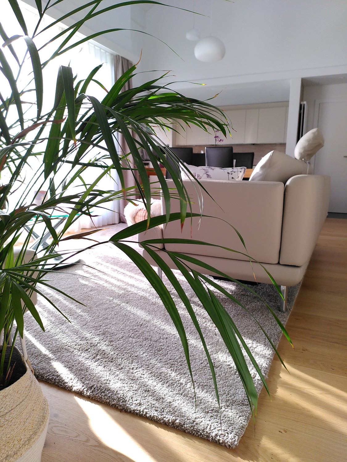 5 ½ rooms apartment