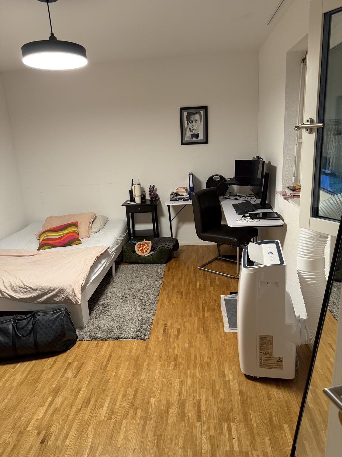 Appartamento di 3 ½ locali, foto 6 di 7
