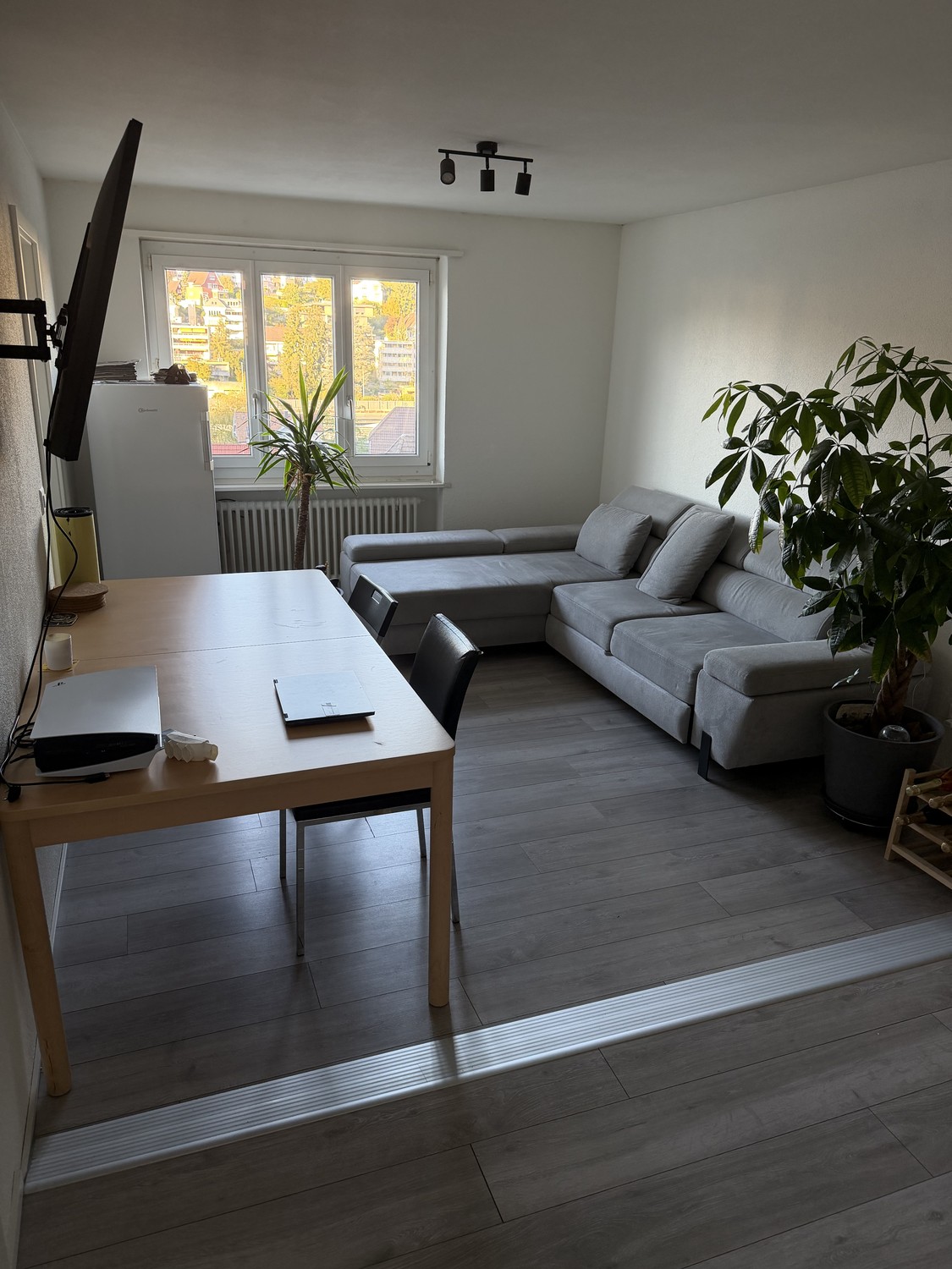 Room in a shared flat